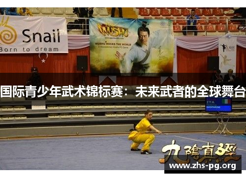 国际青少年武术锦标赛：未来武者的全球舞台