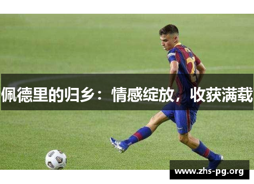 佩德里的归乡：情感绽放，收获满载