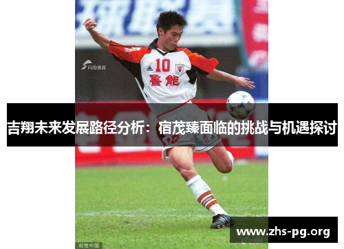 /uploads/images/20250618/ji-xiang-wei-lai-fa-zhan-lu-jing-fen-xi-su-mao-zhen-mian-lin-de-tiao-zhan-yu-ji-yu-tan-tao.webp