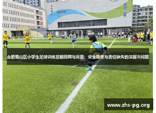 合肥蜀山区小学生足球训练悲剧回顾与反思：安全隐患与责任缺失的深层次问题