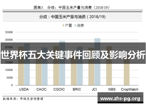世界杯五大关键事件回顾及影响分析