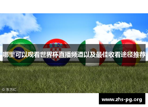 哪里可以观看世界杯直播频道以及最佳收看途径推荐