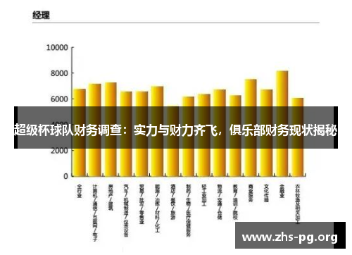 超级杯球队财务调查：实力与财力齐飞，俱乐部财务现状揭秘