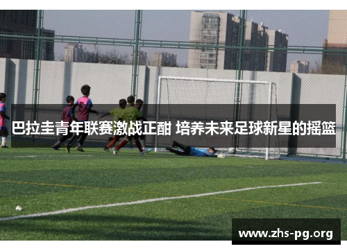 巴拉圭青年联赛激战正酣 培养未来足球新星的摇篮